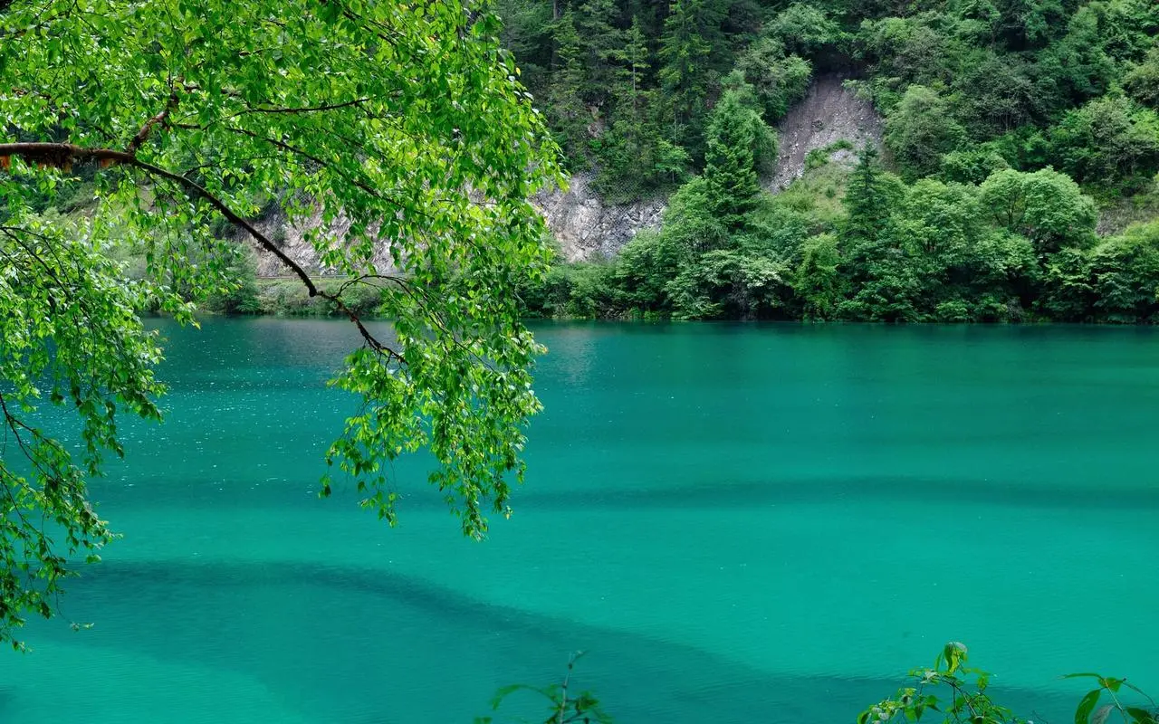 高性能高性能